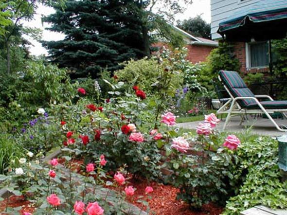 Bed and Breakfast Dorchester House Ніагара-Фоллс Екстер'єр фото